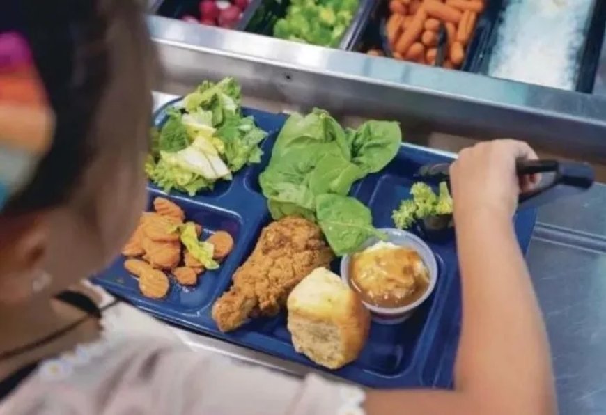 316 scholen doen mee met schoolvoeding