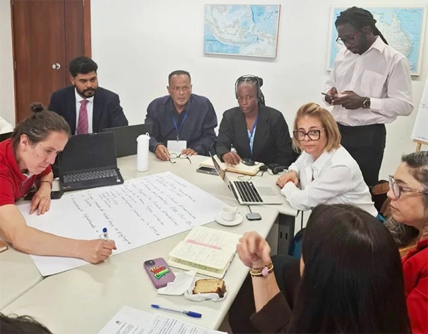 LVV gaat internationale samenwerkingsafspraken doorlichten en centraal registreren