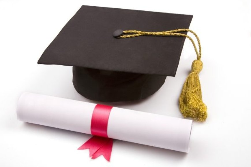 EEN DIPLOMA EN DAARNA FRUSTRATIE?