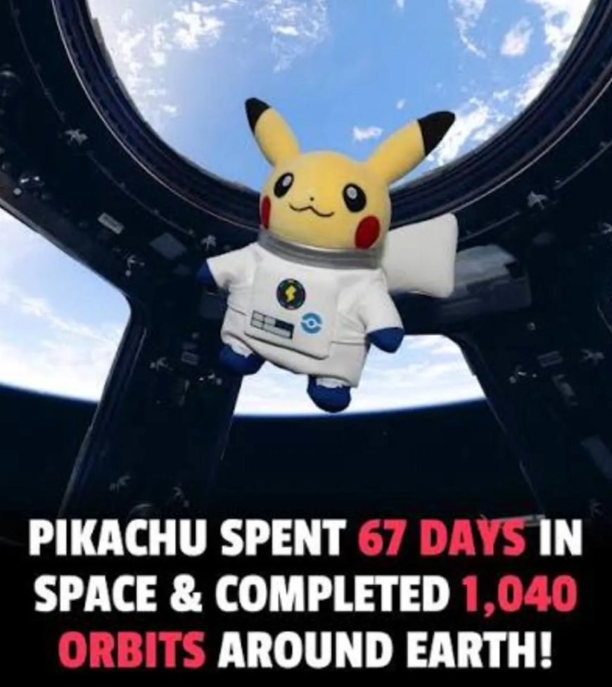 Pikachu maakt 1.040 rondjes om aarde