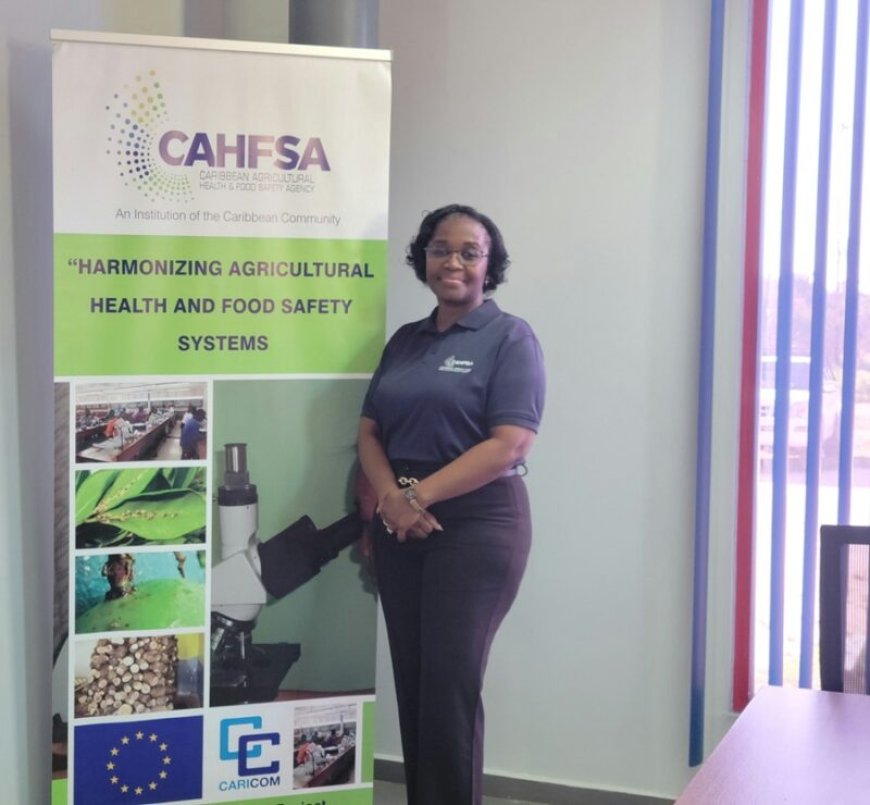 Caribisch agentschap helpt ondernemers bij productontwikkeling en voedselveiligheid