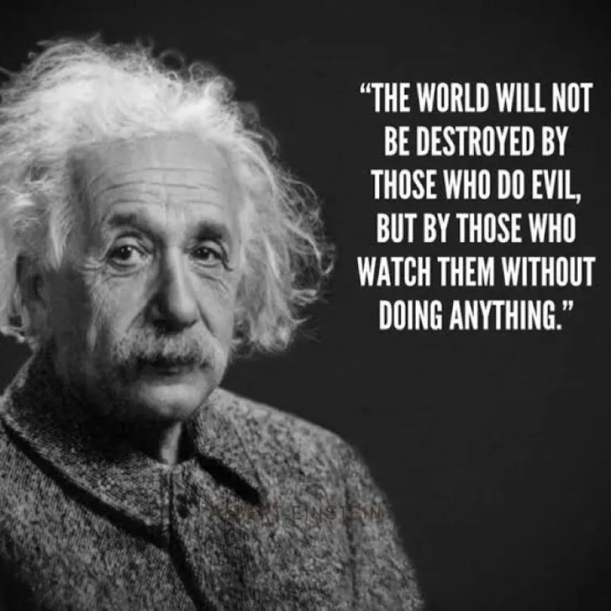 Een crimineel als president is…….