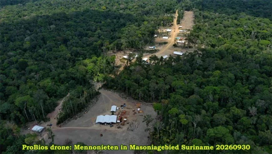 Politie stelt ultimatum ontruiming Masonia, waar Mennonieten buiten concessiegebied verblijve