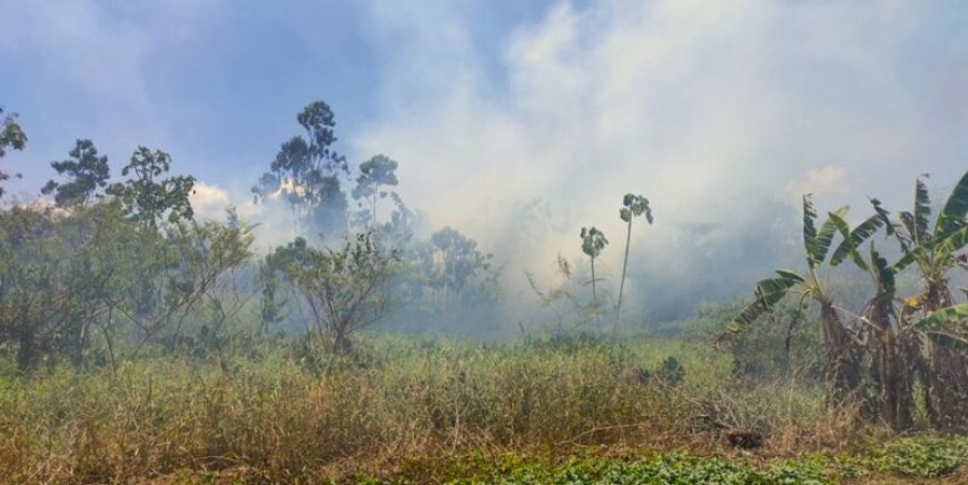 Rookoverlast door bosbrand Commewijne neemt toe