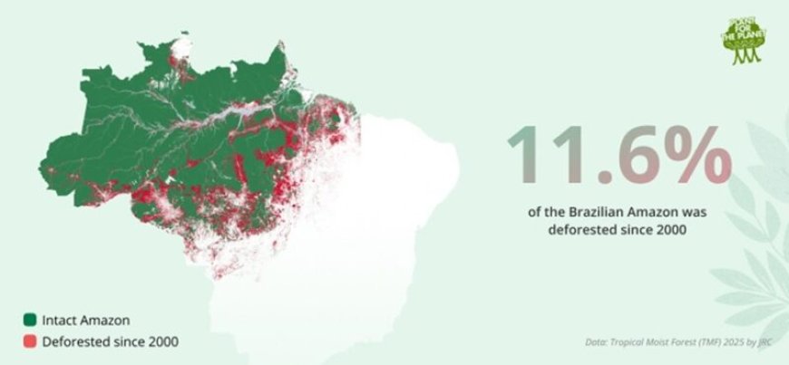 De losbandige wereld van 2026 (7): Verkiezingen in Brazilië: de Amazone en de toekomst van Zu
