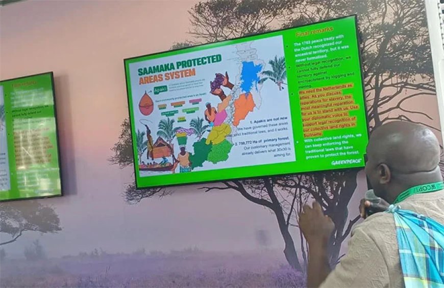 VSG eist op COP17 concrete actie voor grondrechten Saamaka