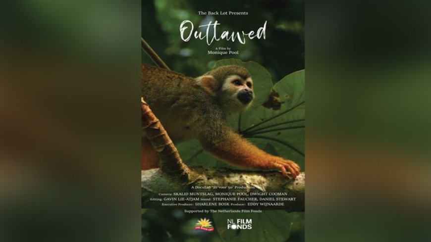 Filmrecensie: Een visueel gedicht dat niet volledig landt