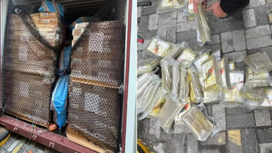 Politie vindt 784 blokken cocaïne tussen tonijn in Ecuador